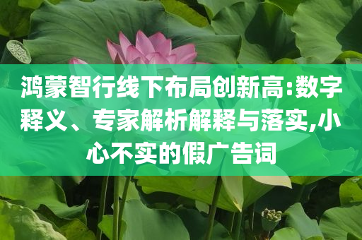 鴻蒙智行線下布局創(chuàng)新高:數(shù)字釋義、專家解析解釋與落實(shí),小心不實(shí)的假?gòu)V告詞
