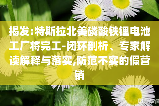 揭發(fā):特斯拉北美磷酸鐵鋰電池工廠將完工-閉環(huán)剖析、專家解讀解釋與落實(shí),防范不實(shí)的假營銷