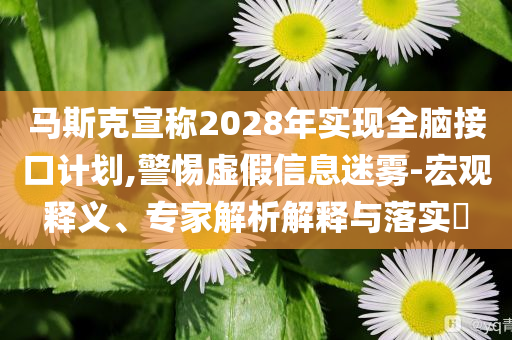 馬斯克宣稱2028年實(shí)現(xiàn)全腦接口計(jì)劃,警惕虛假信息迷霧-宏觀釋義、專家解析解釋與落實(shí)?