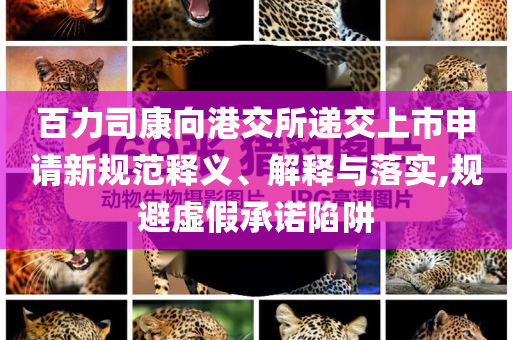 百力司康向港交所遞交上市申請新規(guī)范釋義、解釋與落實,規(guī)避虛假承諾陷阱