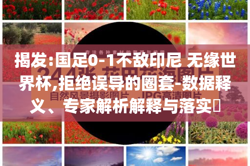 揭發(fā):國足0-1不敵印尼 無緣世界杯,拒絕誤導(dǎo)的圈套-數(shù)據(jù)釋義、專家解析解釋與落實?