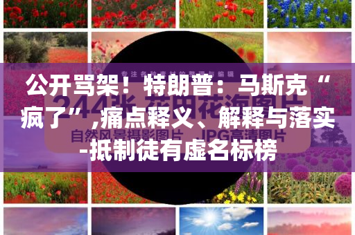 公開罵架！特朗普：馬斯克“瘋了”,痛點(diǎn)釋義、解釋與落實(shí)-抵制徒有虛名標(biāo)榜