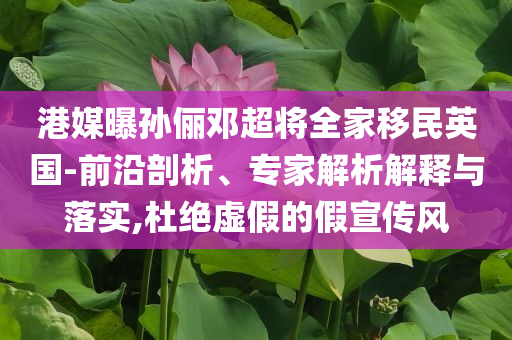 港媒曝孫儷鄧超將全家移民英國(guó)-前沿剖析、專(zhuān)家解析解釋與落實(shí),杜絕虛假的假宣傳風(fēng)