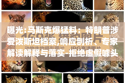 曝光:馬斯克爆猛料：特朗普涉愛潑斯坦檔案,響應(yīng)剖析、專家解讀解釋與落實(shí)-拒絕虛假噱頭