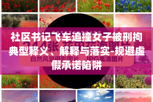 社區(qū)書記飛車追撞女子被刑拘典型釋義、解釋與落實-規(guī)避虛假承諾陷阱