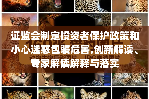 證監(jiān)會(huì)制定投資者保護(hù)政策和小心迷惑包裝危害,創(chuàng)新解讀、專家解讀解釋與落實(shí)