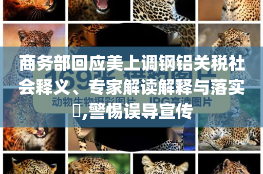 商務(wù)部回應(yīng)美上調(diào)鋼鋁關(guān)稅社會釋義、專家解讀解釋與落實?,警惕誤導(dǎo)宣傳