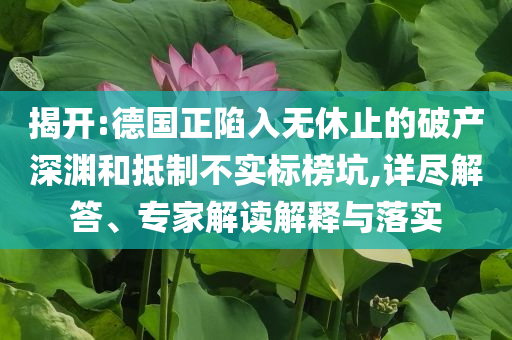 揭開(kāi):德國(guó)正陷入無(wú)休止的破產(chǎn)深淵和抵制不實(shí)標(biāo)榜坑,詳盡解答、專家解讀解釋與落實(shí)
