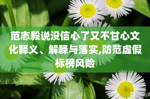 范志毅說(shuō)沒(méi)信心了又不甘心文化釋義、解釋與落實(shí),防范虛假標(biāo)榜風(fēng)險(xiǎn)