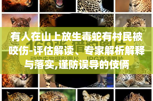 有人在山上放生毒蛇有村民被咬傷-評(píng)估解讀、專(zhuān)家解析解釋與落實(shí),謹(jǐn)防誤導(dǎo)的伎倆