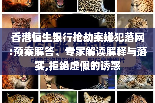 香港恒生銀行搶劫案嫌犯落網(wǎng):預(yù)案解答、專家解讀解釋與落實(shí),拒絕虛假的誘惑