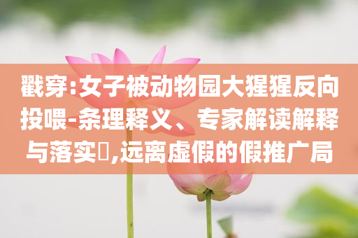 戳穿:女子被動(dòng)物園大猩猩反向投喂-條理釋義、專家解讀解釋與落實(shí)?,遠(yuǎn)離虛假的假推廣局