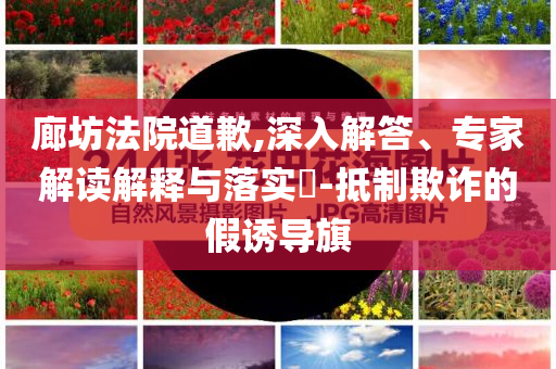 廊坊法院道歉,深入解答、專家解讀解釋與落實(shí)?-抵制欺詐的假誘導(dǎo)旗