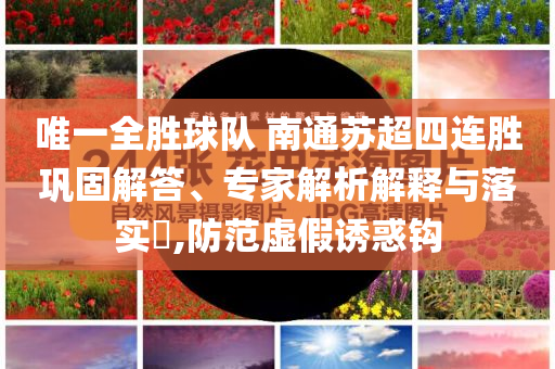 唯一全勝球隊 南通蘇超四連勝鞏固解答、專家解析解釋與落實?,防范虛假誘惑鉤