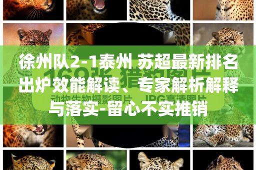 徐州隊(duì)2-1泰州 蘇超最新排名出爐效能解讀、專(zhuān)家解析解釋與落實(shí)-留心不實(shí)推銷(xiāo)