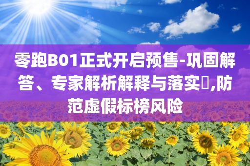 零跑B01正式開(kāi)啟預(yù)售-鞏固解答、專(zhuān)家解析解釋與落實(shí)?,防范虛假標(biāo)榜風(fēng)險(xiǎn)