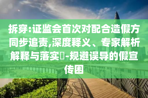 拆穿:證監(jiān)會(huì)首次對(duì)配合造假方同步追責(zé),深度釋義、專(zhuān)家解析解釋與落實(shí)?-規(guī)避誤導(dǎo)的假宣傳困