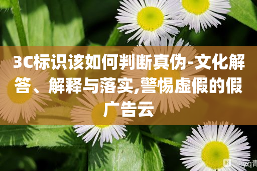 3C標(biāo)識(shí)該如何判斷真?zhèn)?文化解答、解釋與落實(shí),警惕虛假的假?gòu)V告云