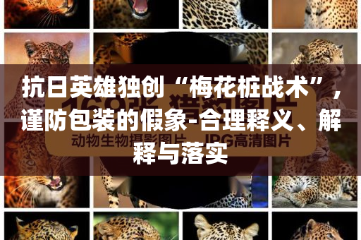 抗日英雄獨創(chuàng)“梅花樁戰(zhàn)術(shù)”,謹(jǐn)防包裝的假象-合理釋義、解釋與落實