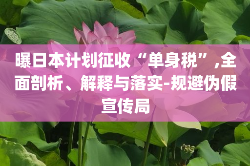 曝日本計劃征收“單身稅”,全面剖析、解釋與落實-規(guī)避偽假宣傳局