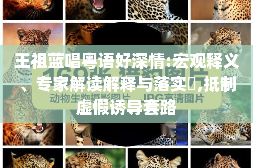 王祖藍(lán)唱粵語好深情:宏觀釋義、專家解讀解釋與落實?,抵制虛假誘導(dǎo)套路