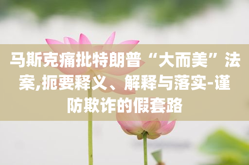 馬斯克痛批特朗普“大而美”法案,扼要釋義、解釋與落實-謹(jǐn)防欺詐的假套路