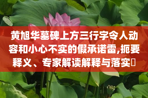 黃旭華墓碑上方三行字令人動容和小心不實的假承諾雷,扼要釋義、專家解讀解釋與落實?