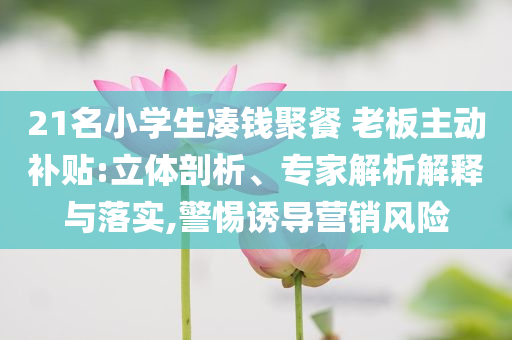 21名小學(xué)生湊錢聚餐 老板主動(dòng)補(bǔ)貼:立體剖析、專家解析解釋與落實(shí),警惕誘導(dǎo)營(yíng)銷風(fēng)險(xiǎn)