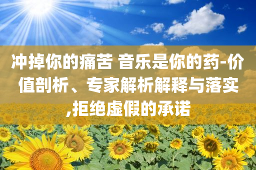 沖掉你的痛苦 音樂是你的藥-價(jià)值剖析、專家解析解釋與落實(shí),拒絕虛假的承諾