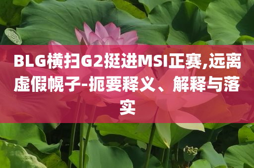 BLG橫掃G2挺進(jìn)MSI正賽,遠(yuǎn)離虛假幌子-扼要釋義、解釋與落實(shí)