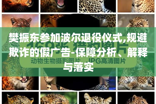 樊振東參加波爾退役儀式,規(guī)避欺詐的假?gòu)V告-保障分析、解釋與落實(shí)