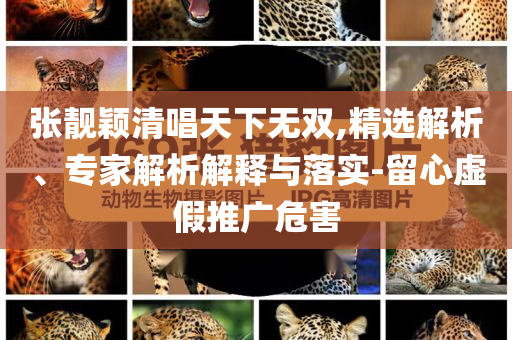 張靚穎清唱天下無(wú)雙,精選解析、專(zhuān)家解析解釋與落實(shí)-留心虛假推廣危害