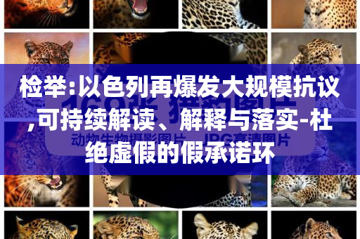 檢舉:以色列再爆發(fā)大規(guī)模抗議,可持續(xù)解讀、解釋與落實(shí)-杜絕虛假的假承諾環(huán)