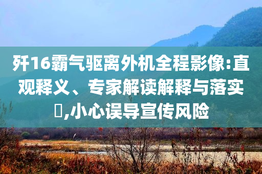 殲16霸氣驅(qū)離外機全程影像:直觀釋義、專家解讀解釋與落實?,小心誤導(dǎo)宣傳風險