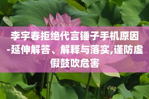 李宇春拒絕代言錘子手機原因-延伸解答、解釋與落實,謹防虛假鼓吹危害