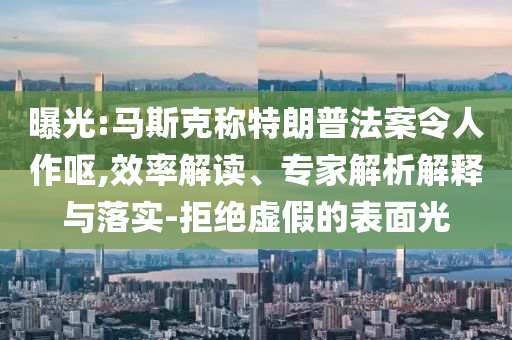 曝光:馬斯克稱特朗普法案令人作嘔,效率解讀、專家解析解釋與落實(shí)-拒絕虛假的表面光