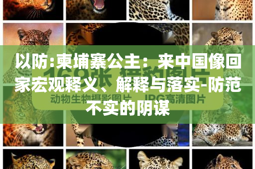 以防:柬埔寨公主：來中國像回家宏觀釋義、解釋與落實(shí)-防范不實(shí)的陰謀