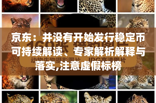 京東：并沒有開始發(fā)行穩(wěn)定幣可持續(xù)解讀、專家解析解釋與落實(shí),注意虛假標(biāo)榜