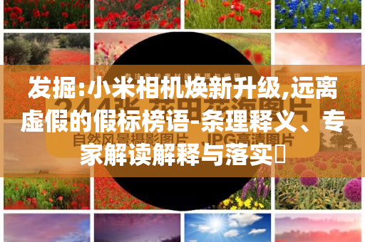 發(fā)掘:小米相機煥新升級,遠離虛假的假標榜語-條理釋義、專家解讀解釋與落實?