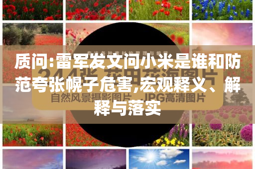 質(zhì)問:雷軍發(fā)文問小米是誰和防范夸張幌子危害,宏觀釋義、解釋與落實