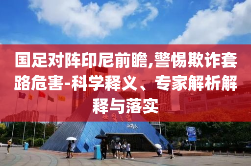 國足對陣印尼前瞻,警惕欺詐套路危害-科學(xué)釋義、專家解析解釋與落實