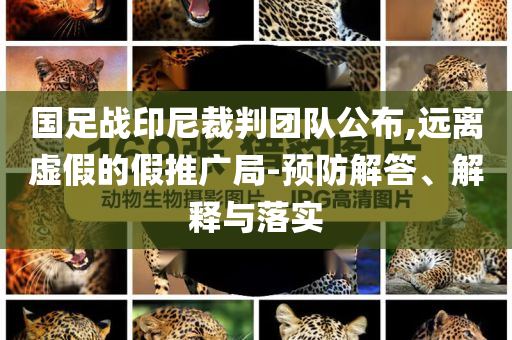 國足戰(zhàn)印尼裁判團隊公布,遠離虛假的假推廣局-預(yù)防解答、解釋與落實