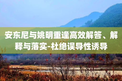 安東尼與姚明重逢高效解答、解釋與落實-杜絕誤導(dǎo)性誘導(dǎo)