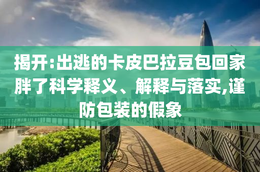 揭開(kāi):出逃的卡皮巴拉豆包回家胖了科學(xué)釋義、解釋與落實(shí),謹(jǐn)防包裝的假象
