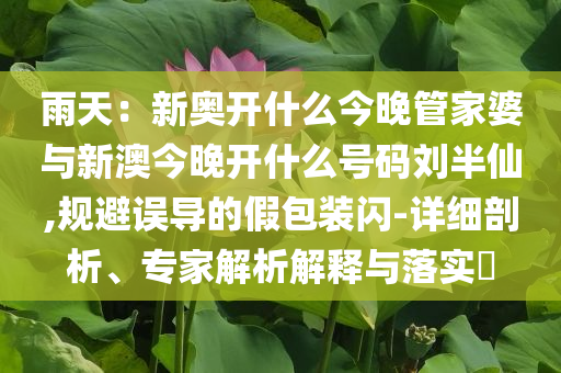 雨天：新奧開什么今晚管家婆與新澳今晚開什么號碼劉半仙,規(guī)避誤導的假包裝閃-詳細剖析、專家解析解釋與落實?