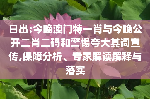日出:今晚澳門特一肖與今晚公開二肖二碼和警惕夸大其詞宣傳,保障分析、專家解讀解釋與落實(shí)