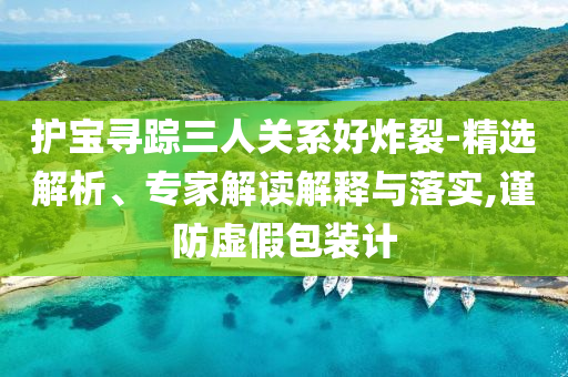 護(hù)寶尋蹤三人關(guān)系好炸裂-精選解析、專家解讀解釋與落實,謹(jǐn)防虛假包裝計
