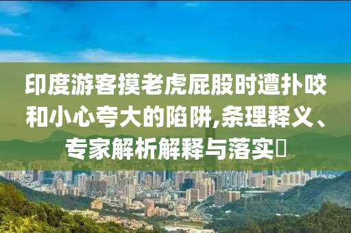 印度游客摸老虎屁股時(shí)遭撲咬和小心夸大的陷阱,條理釋義、專家解析解釋與落實(shí)?