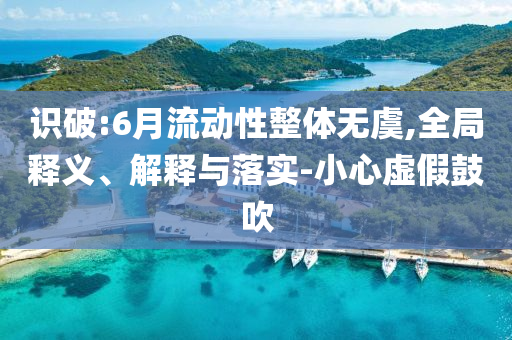 識(shí)破:6月流動(dòng)性整體無(wú)虞,全局釋義、解釋與落實(shí)-小心虛假鼓吹