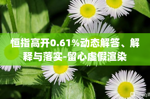 恒指高開0.61%動(dòng)態(tài)解答、解釋與落實(shí)-留心虛假渲染